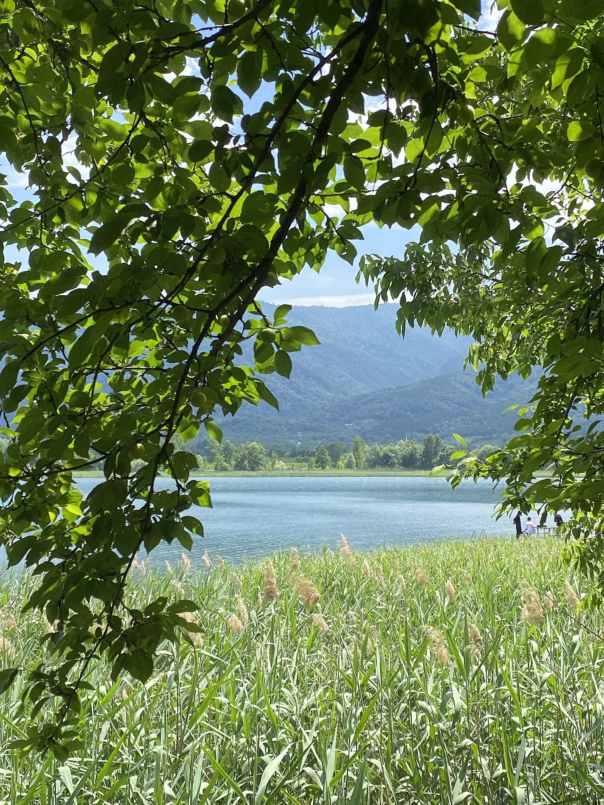 Sapanca Gölü